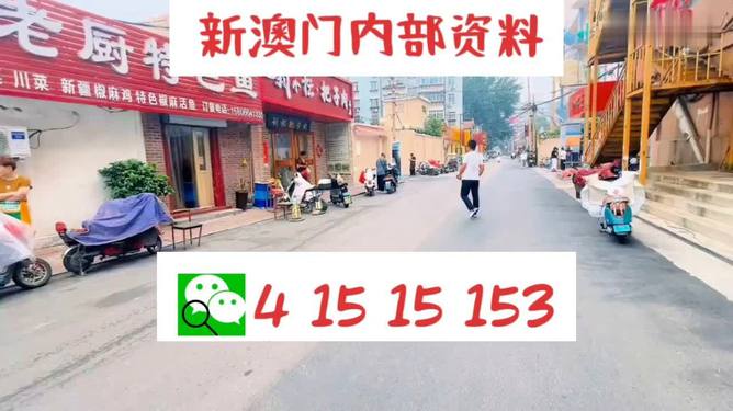 ＂2024新澳天天开好彩大全78期＂的：高度协调实施_家庭版8.17