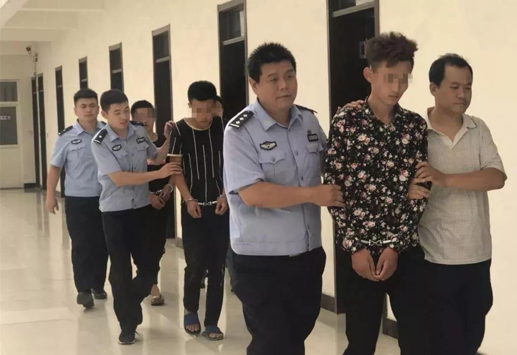 临沭司机招聘最新消息,临沭司机招聘最新消息——路上的奇遇与情感纽带