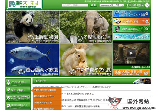 最新动物园网站，自然美景的探索之旅