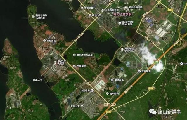 藏龙岛二小最新动态揭秘，小巷特色小店探秘之旅