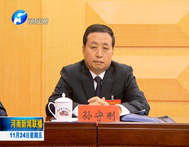 河南省委常委分工最新调整，影响与展望