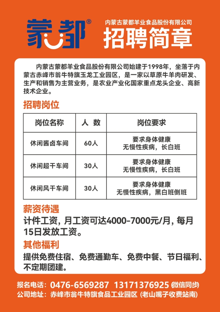 莱芜金点子最新招聘信息港，科技驱动职业梦想，岗位触手可及
