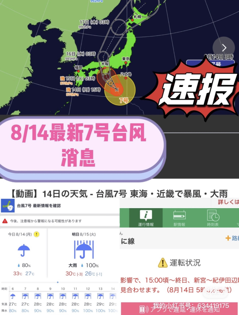 台风来袭，知识海洋并肩作战，最新关于台风12号的消息报告