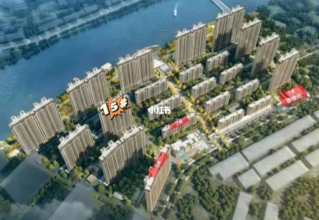 阜宁帝逸国际最新信息一览，概览与详述